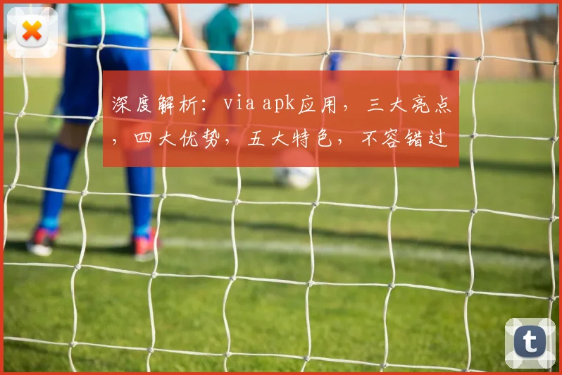 深度解析：via apk应用，三大亮点，四大优势，五大特色，不容错过