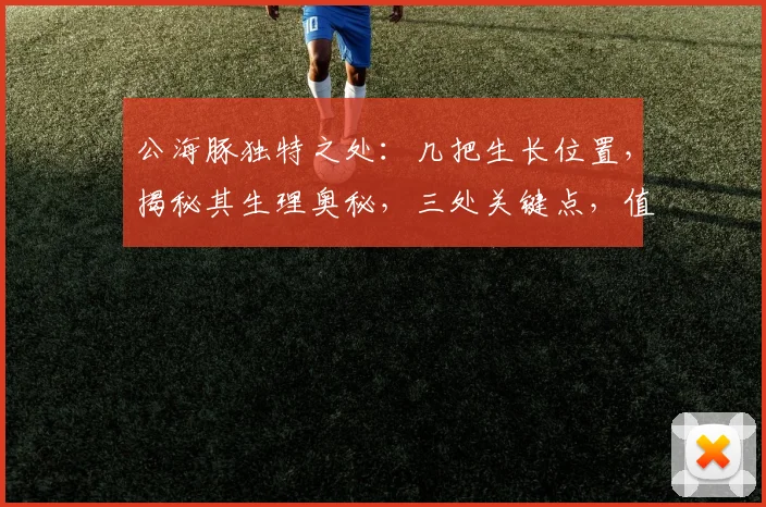 公海豚独特之处：几把生长位置，揭秘其生理奥秘，三处关键点，值得一看