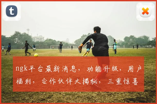 ngk平台最新消息，功能升级，用户福利，合作伙伴大揭秘，三重惊喜，不容错过