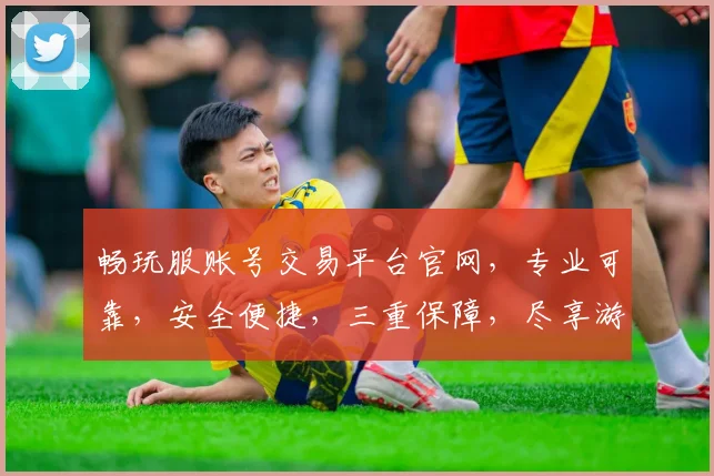 畅玩服账号交易平台官网，专业可靠，安全便捷，三重保障，尽享游戏乐趣，让您畅游虚拟世界，轻松交易